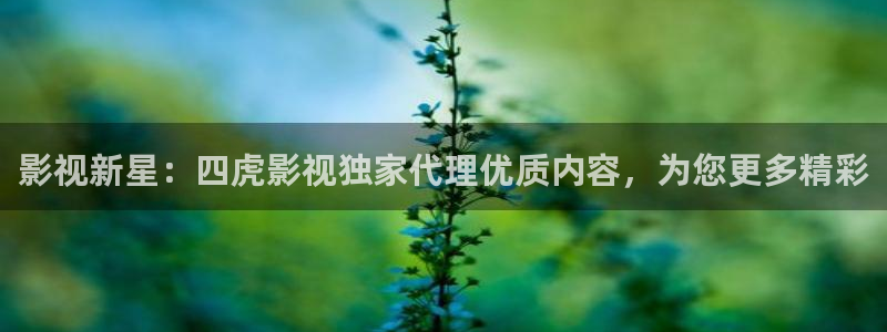 在线超碰观看