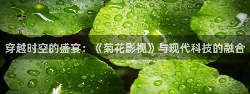 奇米第四色超碰