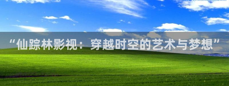 超碰06：“仙踪林影视：穿越时空的艺术与梦想”