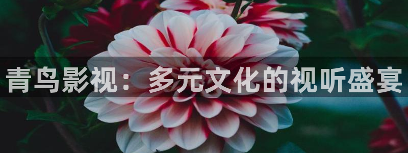91超碰在线资源