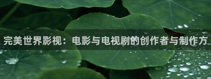 超碰72：完美世界影视：电影与电视剧的创作者与制作方