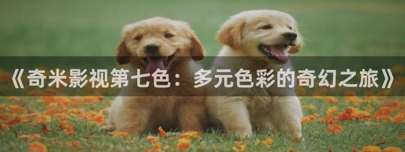 超碰au：《奇米影视第七色：多元色彩的奇幻之旅》